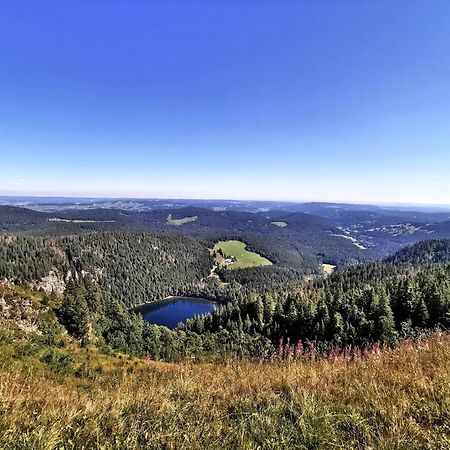 Residenz Grafenmatt "Abendsonne" Appartement Feldberg  Buitenkant foto