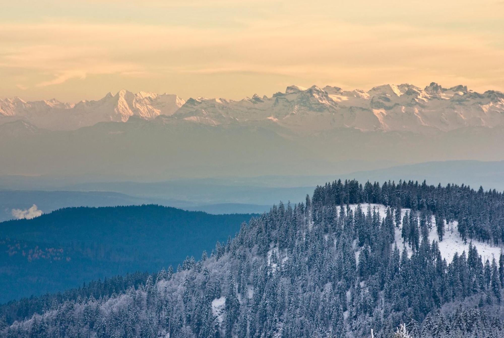 Residenz Grafenmatt "Abendsonne" Appartement Feldberg  Buitenkant foto