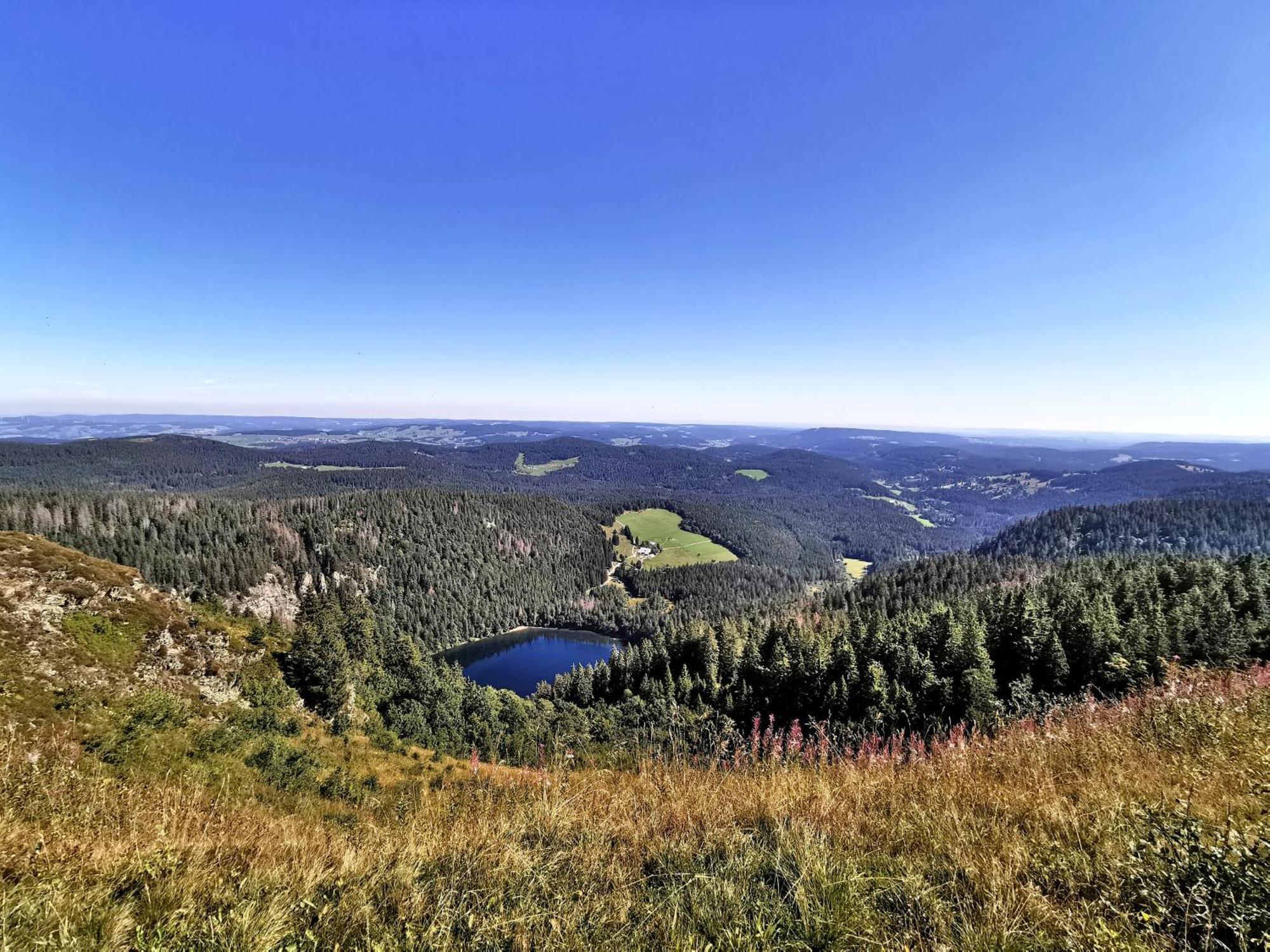 Residenz Grafenmatt "Abendsonne" Appartement Feldberg  Buitenkant foto